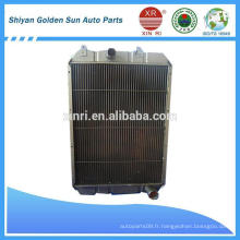 DONGFENG KAVIAN Camion Radiateur 1301N20-010